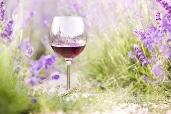 Rotweinglas auf dem Boden vor Lavendellandschaft. Sonnenuntergang über einem sommerlichen Lavendelfeld in der Provence, Frankreich — Stockfoto