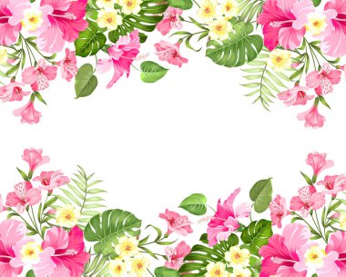 Yaz tatili kartı. Etiketinde Plumeria ve ebegümeci tropikal çiçekler. Görüntünün merkezinde metin alanı ile tropikal palmiye dalları.
