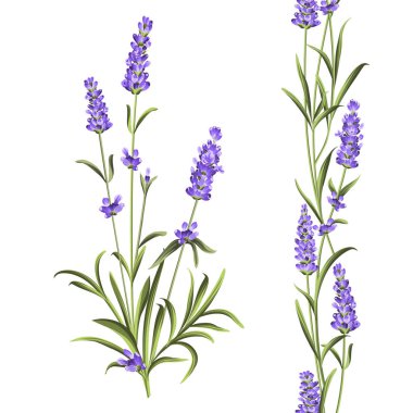Provence çiçekler koleksiyonu. Lavanta çiçek elemanları seti. Violet Çiçek kiti. Moda yaz baskı paketi. Davet kartı ve şablon tasarımınız için öğeler.