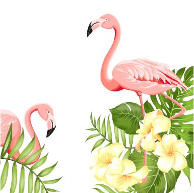 Flamingo kuş ve plumeria çiçeklerbeyaz arka plan üzerinde izole. Tropikal kuşlar ve çiçekler illüstrasyon. Sarma, kumaş, davet kartı ve şablon tasarımı için moda yaz baskı