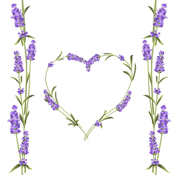 Den lavendel elegant kort med ramme af blomster og tekst sted. Lavendel krans til din tekst præsentation. Aromatisk sæbe pakke. Etiket med lavendel blomster . – Stock-vektor