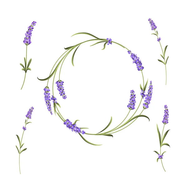 De lavendel elegante kaart met frame van bloemen en tekst plaats. Lavendel Garland voor uw tekst presentatie. Aromatische zeep pakket. Label met lavendel bloemen. — Stockvector