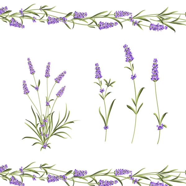 Coleção de flores Provence. Conjunto de elementos de flores de lavanda. Kit de flores violetas. Pacote de impressão de verão de moda. Elementos para o cartão de convite e seu modelo de design . — Vetor de Stock