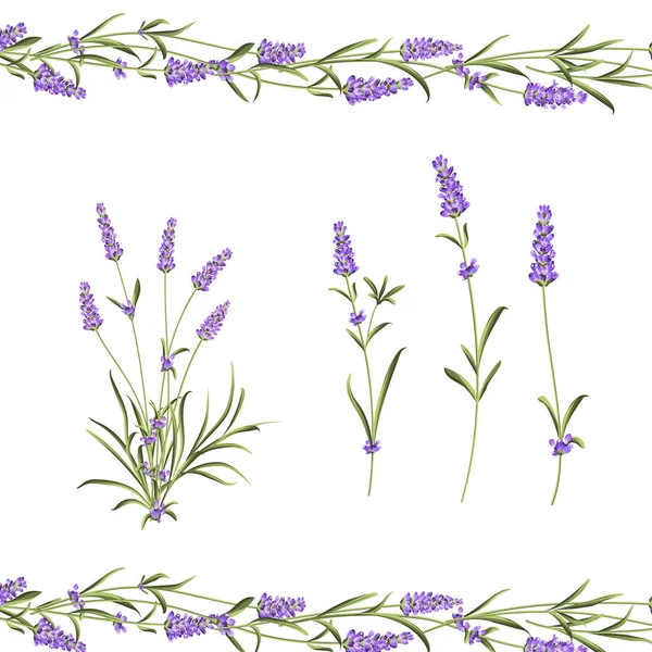 Collezione fiori di Provenza. Set di elementi di fiori di lavanda. Kit fiori viola. Pacchetto stampa estate moda. Elementi per il biglietto d'invito e il design del modello . — Vettoriale Stock