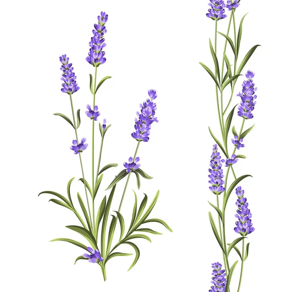 Coleção de flores Provence. Conjunto de elementos de flores de lavanda. Kit de flores violetas. Pacote de impressão de verão de moda. Elementos para o cartão de convite e seu modelo de design . — Vetor de Stock