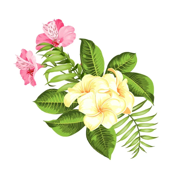 Exotic flowers bouquet of color bud garland. Label with plumeria flowers. Bouquet of aromatic tropical flowers. Invitation card template with color flowers of alstroemeria. — Stock Vector