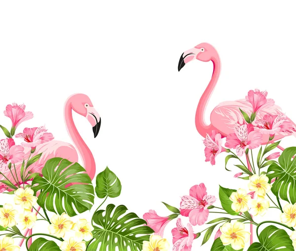 Flamingo kuş ve plumeria çiçeklerbeyaz arka plan üzerinde izole. Tropikal kuşlar ve çiçekler illüstrasyon. Sarma, kumaş, davet kartı ve şablon tasarımı için moda yaz baskı