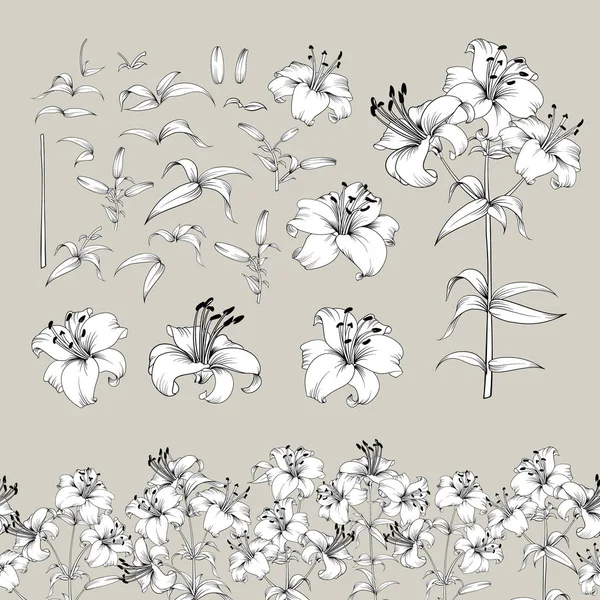 Collection d'éléments de fleurs de lys. Ensemble génial pour les concepteurs. Blossom jungle faisceau de fleurs. Fleurs noires de lis isolées sur gris. Collection contours fleurs . — Image vectorielle