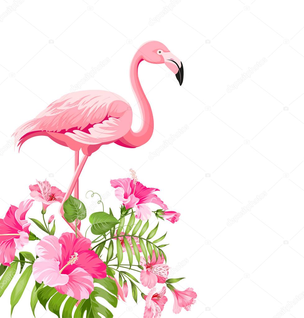Download Beautiful tropical image with pink flamingo and plumeria ...