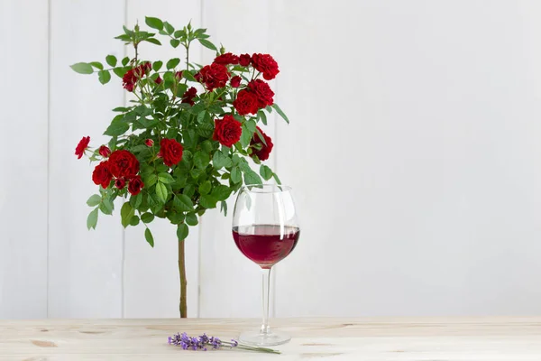 Szklanka wina z krzakiem róży nad białą ścianą. Prowansja projektowania wnętrz — Zdjęcie stockowe