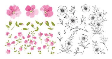 Set of linum flower elements. Collection of flax flowers on a white background. Flower isolated against white. Beautiful set of flowers. clipart