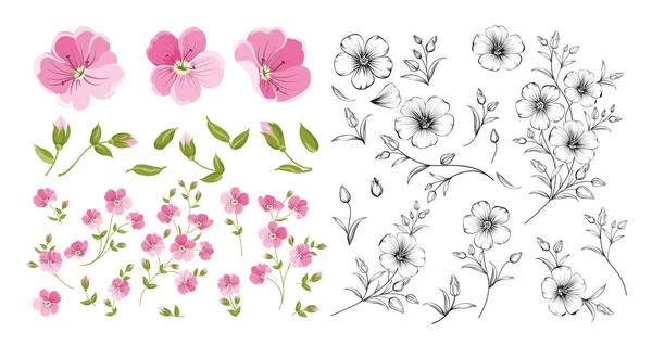 Set of linum flower elements. Collection of flax flowers on a white background. Flower isolated against white. Beautiful set of flowers. — Stock Vector