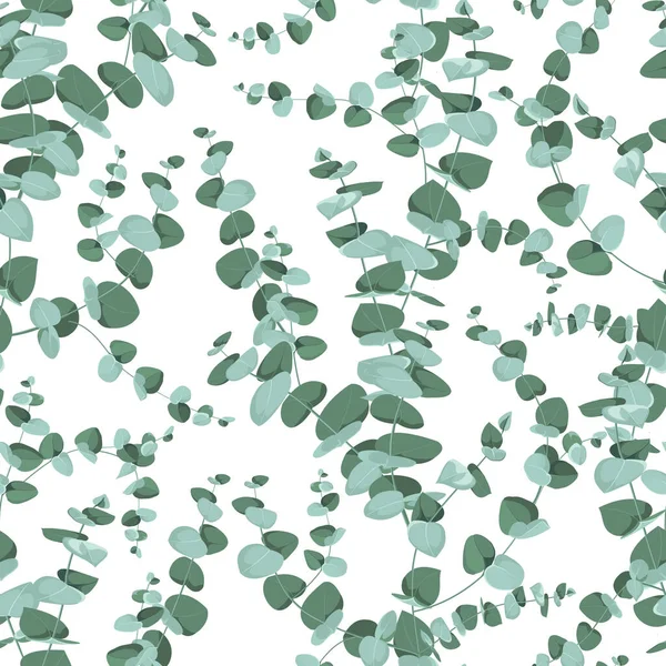 Eucalyptus seamless pattern in rustic style on white background. Seamless tropic pattern. — Stock Vector