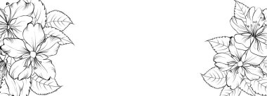 Botanik elementler tasarım şablonu. Çerçeve çiçekli panoramik basit tasarım. Bitkisel vektör çerçevesi