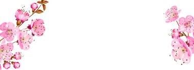 Botanik elementler tasarım şablonu. Çerçeve çiçekli panoramik basit tasarım. Bitkisel vektör çerçevesi