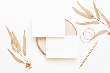 Yaprak okaliptüslü bir model. Metin için alanı olan yaz yeşilliklerinin yaratıcı düzeni.