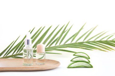 Beyaz arka planda taze aloe vera yaprakları. Doğal kozmetik ürünleri için kesilmiş aloe vera yaprağı