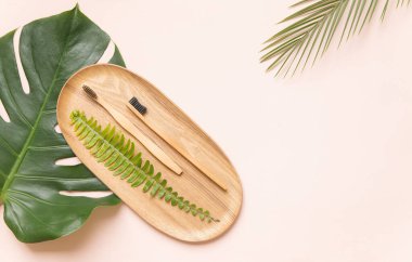 Tahtadaki doğal diş fırçası. Modern pastel arka planda tropik yaprak canavarı. Sıfır atık ve plastikten.