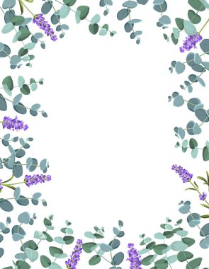 Ökliptüs ve lavanta elementleri tasarım şablonu. Çerçeve çiçekli basit bir tasarım. Bitkisel vektör çerçevesi