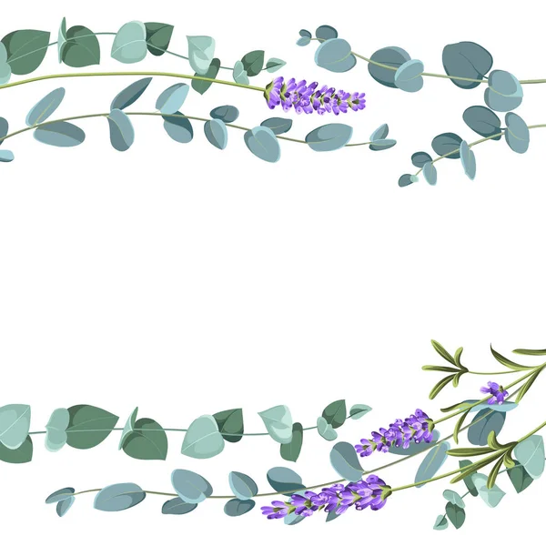 Eucaliptus e elementos de lavanda modelo de design. Design simples com flores de armação. Quadro vetorial de ervas — Vetor de Stock