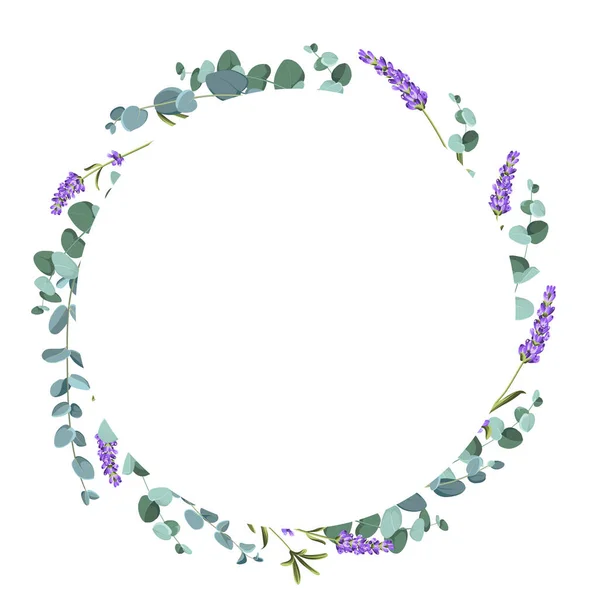 Eucaliptus e elementos de lavanda modelo de design. Design simples com flores de armação. Quadro vetorial de ervas — Vetor de Stock