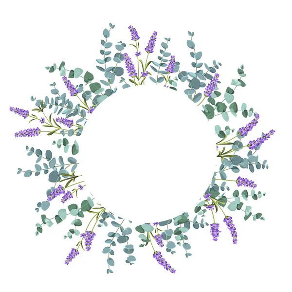 Eukaliptus a levandulové prvky design šablony. Jednoduchý design s květinami rámu. Bylinný vektorový rám — Stockový vektor