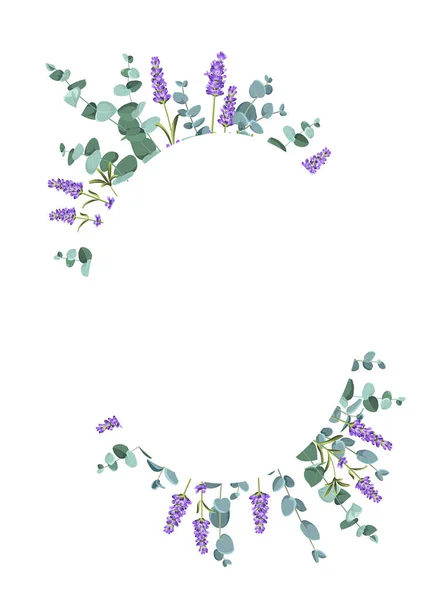 Eucaliptus e elementos de lavanda modelo de design. Design simples com flores de armação. Quadro vetorial de ervas — Vetor de Stock