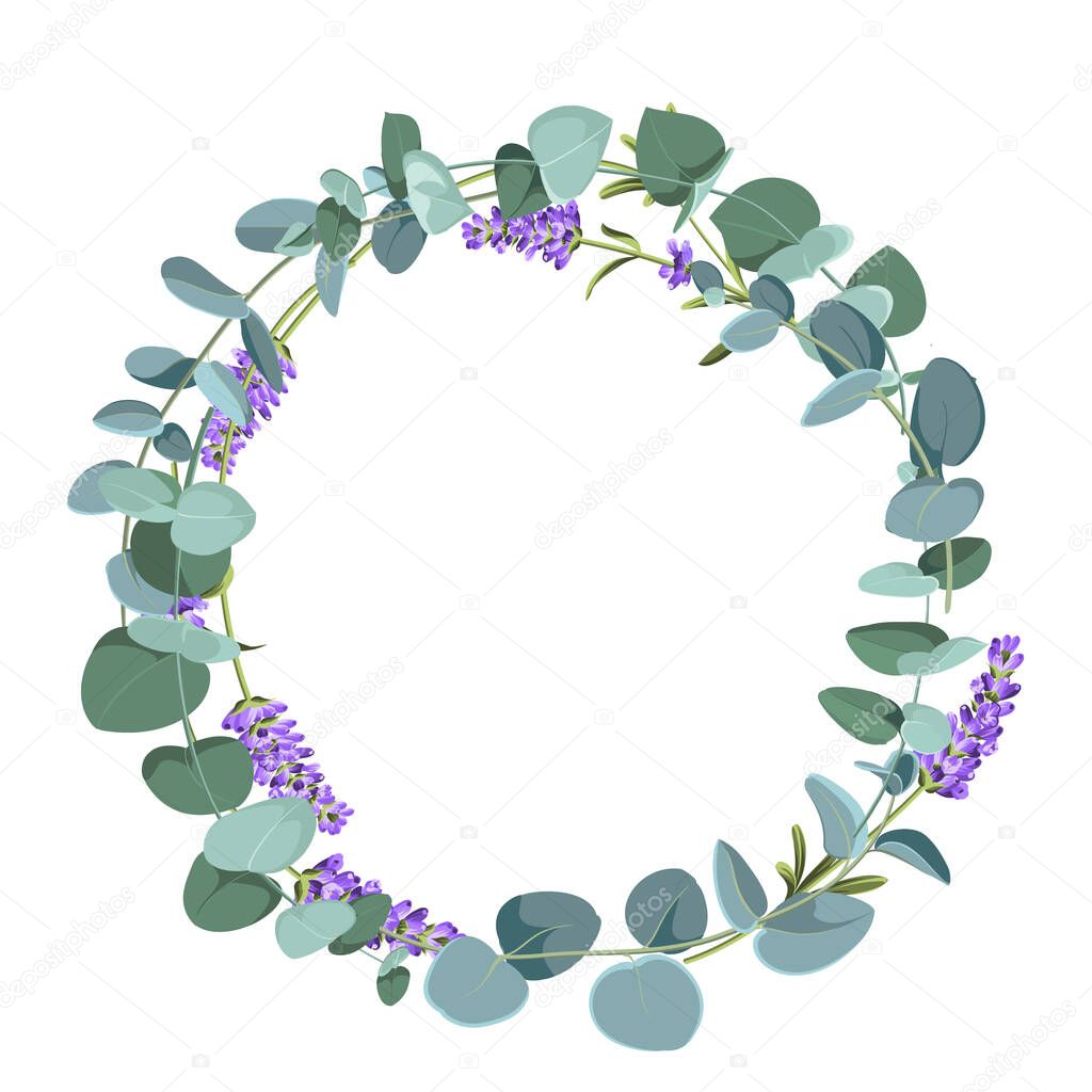 Eucaliptus and lavender elements design template. Simple design with frame flowers. Herbal vector frame.