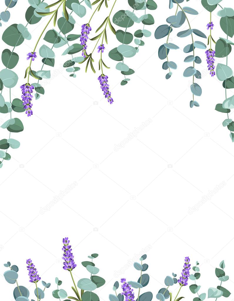 Eucaliptus and lavender elements design template. Simple design with frame flowers. Herbal vector frame.