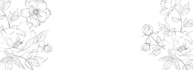 Botanik elementler tasarım şablonu. Çerçeve çiçekli panoramik basit tasarım. Bitkisel vektör çerçevesi