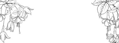 Botanik elementler tasarım şablonu. Çerçeve çiçekli panoramik basit tasarım. Bitkisel vektör çerçevesi