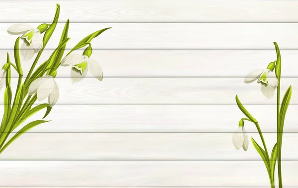 Fond de fleurs de printemps pour votre conception. Fond en bois avec espace vide — Image vectorielle