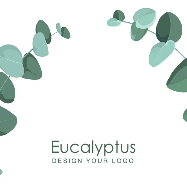 白い背景にユーカリの枝。ロゴやプロジェクトのデザイン — ストックベクタ