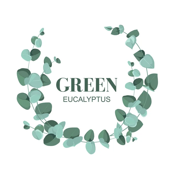 Eucalyptus vertakt op een witte achtergrond. Ontwerp voor uw logo of project — Stockvector