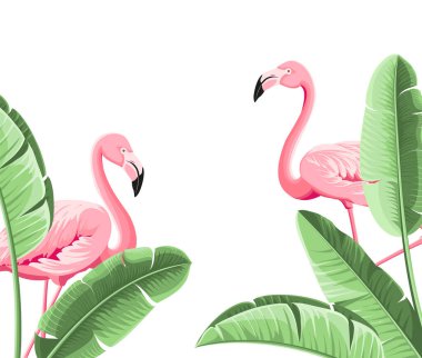 Yaz tropik çerçeve egzotik muz yaprağı. Kart, davet, poster için tasarım arkaplanı.