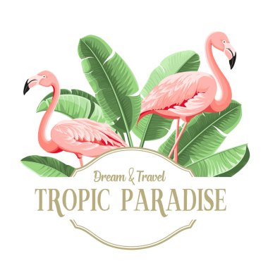 Yaz tropik çerçeve egzotik muz yaprağı. Kart, davet, poster için tasarım arkaplanı.