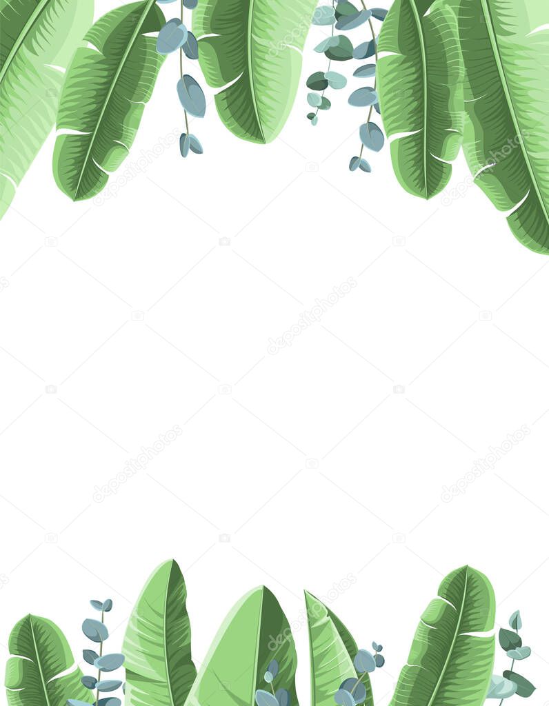 Tropical background with banana leaves and eucalyptus. Vector illustration