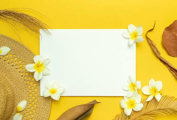 Minimální letní rámeček s kloboukem, tropickým listem a květem. Bílá kniha pro text. — Stock fotografie