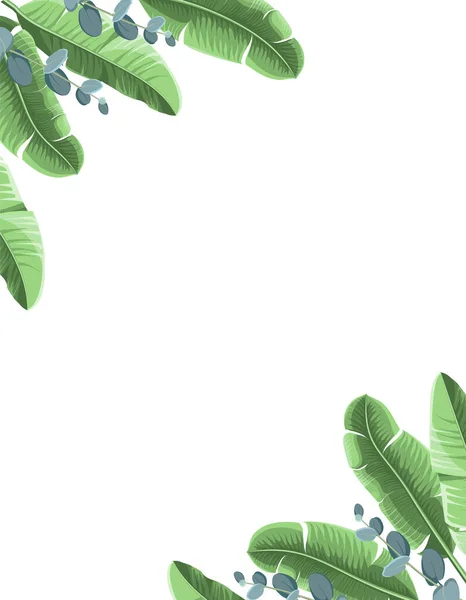 Fond tropical avec des feuilles de banane et d'eucalyptus. Illustration vectorielle — Image vectorielle