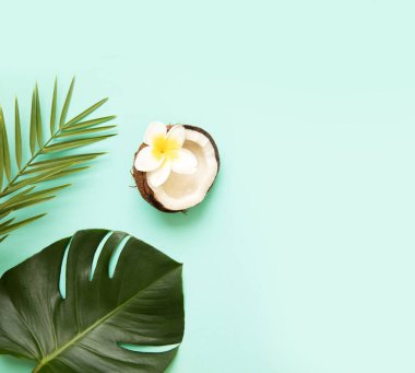 Mavi arka planda tropik palmiye yaprağı. Canlı minimum moda konsepti. Kopyalama alanı olan tasarım