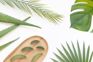 Aloe vera ve tropikal palmiye ile canlı düz konum.