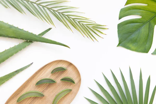 Aloe vera ve tropikal palmiye ile canlı düz konum.