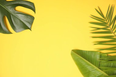 Sarı yapraklı yaz arkaplanı.