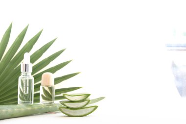 Aloe Vera yaprak dilimi ve gerekli yağ.