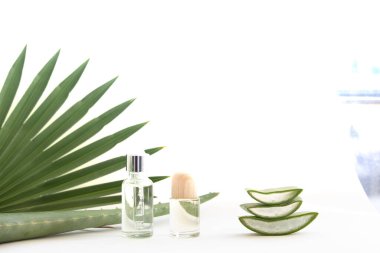 Aloe Vera yaprak dilimi ve gerekli yağ.