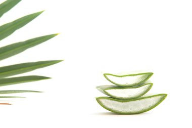 Tropik bir arka planda taze yapraklar ve aloe vera dilimleri..