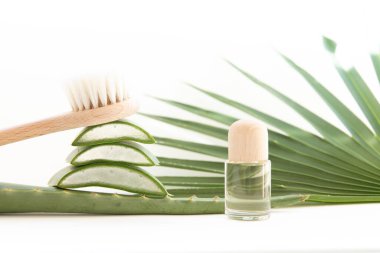 Temel yağ aloe vera ve kuru fırçayla masaj tedavisi.