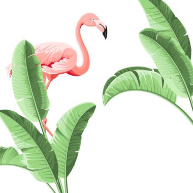 Yaz tropik çerçeve egzotik muz yaprağı. Kart, davet, poster için tasarım arkaplanı.