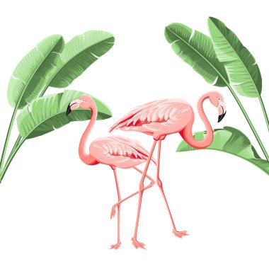 Yaz tropik çerçeve egzotik muz yaprağı. Kart, davet, poster için tasarım arkaplanı.