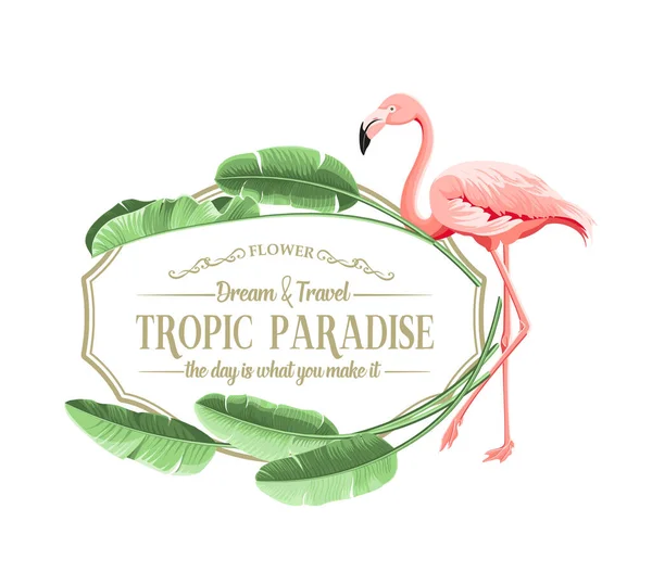 Yaz tropikal çerçevesi egzotik muz yaprağı ve flamingo. — Stok Vektör